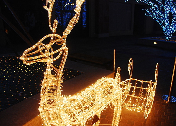 山东耀鼎光电科技有限公司(图18)