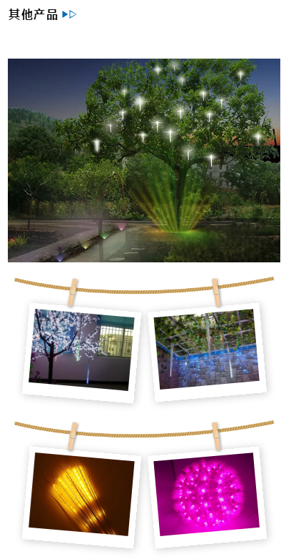 山东耀鼎光电科技有限公司(图11)