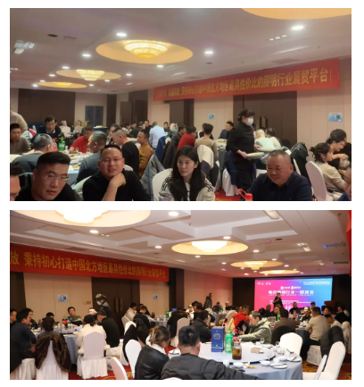 临沂照明行业-联谊会成功召开！大家欢聚一堂，共话未来！(图5)