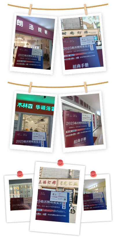 2025（第四届）临沂照明展览会专采推广万里行 ——石家庄站(图7)